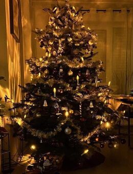 Weihnachten 2026 einziehen und mit Nachbarn feiern - ab 362.900 EUR - Dürrröhrsdorf-Dittersbach