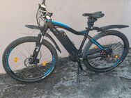 E bike Ncm Moscow plus 29 Zoll - Dortmund