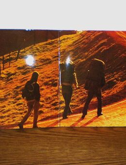 Lobo-dto-Vinyl-LP,1972 - Linnich