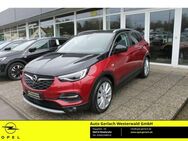 Opel Grandland 1.6 Turbo Hybrid EU6d Ultimate Plug-in-Hybrid 4 AHK-abnehmbar Navi Soundsystem - Niederahr