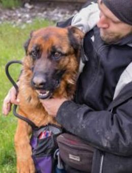 CLINT - Nähe und viel Zuwendung erleben - Overath