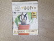 Harry Potter Kreischende Alraune: mit Sound - Bad Hersfeld