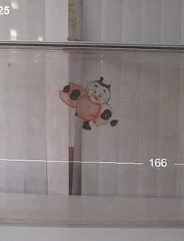 Bürstner Wohnwagenfenster ca 166 x 62,5 (Roxite 80 D401) gebrauch - Schotten Zentrum