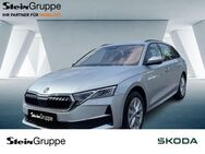 Skoda Octavia, 2.0 TDI Combi e W Selection, Jahr 2024 - Gummersbach