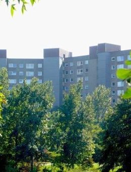 Platz für die Familie - 2/2,5-Zimmer-Wohnung in Darmstadt-Kranichstein - Darmstadt