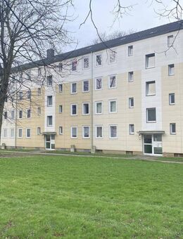 Gemütliche 2-Zimmer-Wohnung in Dortmund mit abwechslungsreicher Atmosphäre - Dortmund