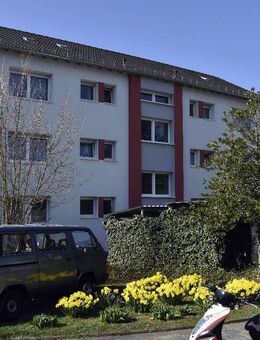 2 Zimmer in Viernheim - Viernheim