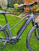 Herren E-Bike Qwic MN 380 Performance in 47167