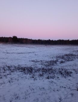 Hund gesucht ab 2026 - Schwarmstedt