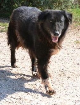 Mania - groß, schwarz, klasse! - Mettmann