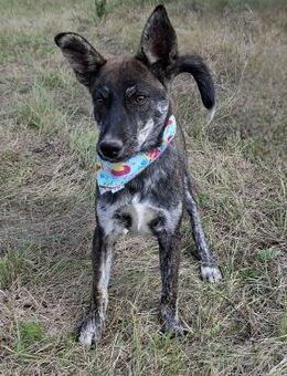 Roger - Weilmünster