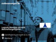 Logistik Manager (m/w/d) Beschaffungslogistik - Mahlberg