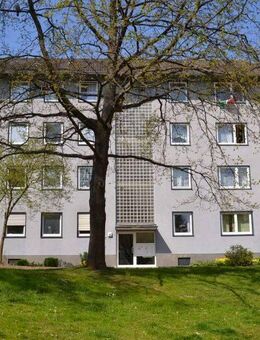 Gemütliche 3-Zimmerwohnung ruhiger Lage am Baunsberg - Baunatal