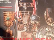 Vereinszeitschrift Bayern München Juni 2019 - Essen
