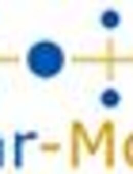 Elektroniker oder Kfz-Elektroniker (m/w/d) - Sankt Wendel