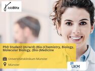PhD Student (m/w/d) (Bio-)Chemistry, Biology, Molecular Biology, (Bio-)Medicine - Münster