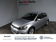 VW Golf, 1.5 TSI VII CL, Jahr 2019 - Lennestadt