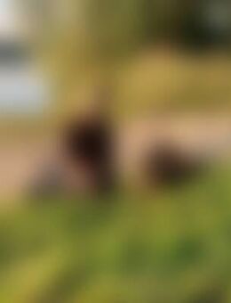 Wib*** - Freden (Leine)