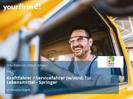 Kraftfahrer / Servicefahrer (w/m/d) für Lebensmittel - Springer - Wustermark