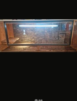 Terrarium zuverkaufen - Borna