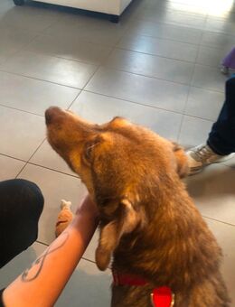 Die hübsche Elfina - Erkelenz Zentrum