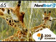 MZV: MiNr. 34 II, 01.09.2018, "Zoo Schwerin", Wert zu 0,65 EUR, postfrisch - Brandenburg (Havel)
