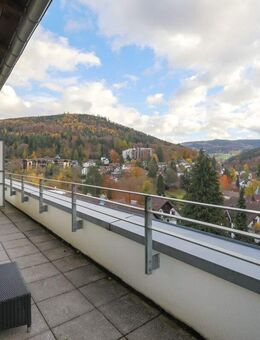 Großzügige 3 -Zimmer-Wohnung mit Dachterrasse in ruhiger Aussichtslage von Bad Herrenalb - Bad Herrenalb