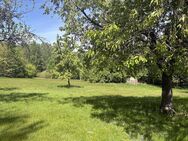 1,79 ha Paradies! Luxuriöses Anwesen im Landhausstil mit EBK, Terrasse, Sauna, Ferienhaus & Garage - Georgenberg