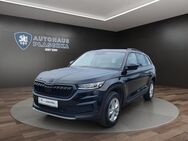 Skoda Kodiaq, 2.0 TDI Ambition, Jahr 2023 - Amelinghausen