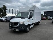 Mercedes Sprinter, 317 Koffer Maxi L3 LB, Jahr 2022 - Kiel