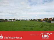 Wohnpark am Elisabethring - am Rande des Geiseltalsees! - Mücheln (Geiseltal)