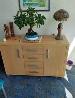 Sideboard , Fernsehschrank , Buche 2x - Berlin