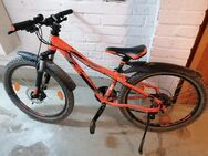 KTM Kinder-Mountainbike 24 Zoll - Panketal