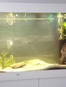 360L Aquarium in 44892
