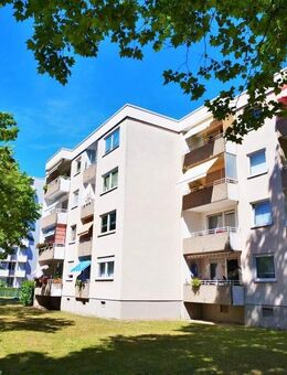 Demnächst frei! 2-Zimmer-Wohnung in Frankenthal (Pfalz) - Frankenthal (Pfalz)