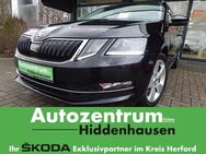 Skoda Octavia, 2.0 TDI III Combi Premium Edition, Jahr 2020 - Hiddenhausen