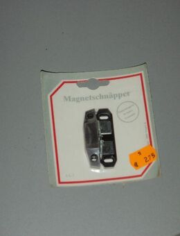 Magnetschnäpper - Ulmen Ulmen