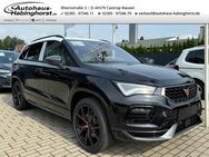 CUPRA Ateca, 2.0 TSI VZ TopView Beats, Jahr 2024 - Castrop-Rauxel