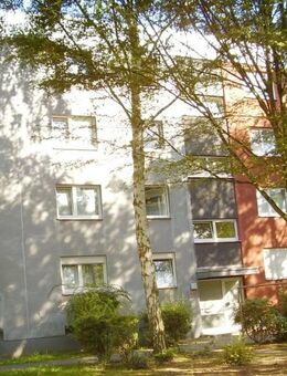 Gemütliche 2-Zimmer-Wohnung mit zwei Balkonen - Wiesbaden