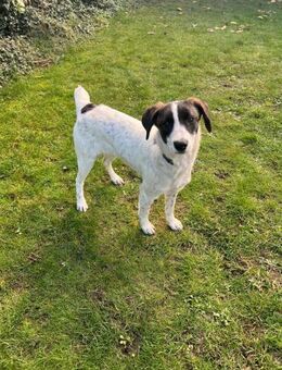 Sally - Recklinghausen