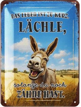 Lustiges Blechschild Das Leben ist zu kurz lächle - witziges Schild Lanolu 15x20 cm - Berlin