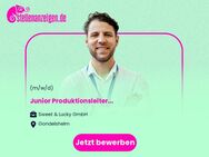 Junior Produktionsleiter (w/m/d) - Gondelsheim