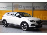 Opel Grandland X INNOVATION LED Keyless 360°Kamera - Mettingen