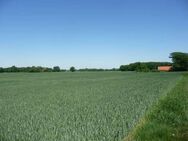3,35 ha Ackerlandverkauf in 49593 Bersenbrück, OT Talge - Bersenbrück