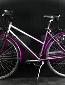 Elegantes Damenvelo ALPINA, 48.5cm B25/173 in 5000