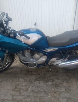 Zu verkaufen Yamaha xj 600 s - Heide