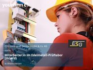Mitarbeiter:in im Edelmetall-Prüflabor (m/w/d) - Rheinstetten