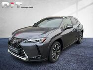 Lexus UX 250h Style Edition Klimaautomatik, Kamera - Göttingen