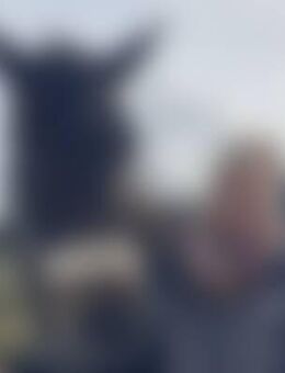 Ine*** - Hohwacht (Ostsee)