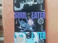 Soul Eater Sammelmanga Band 1-9 zu verkaufen - Riesa